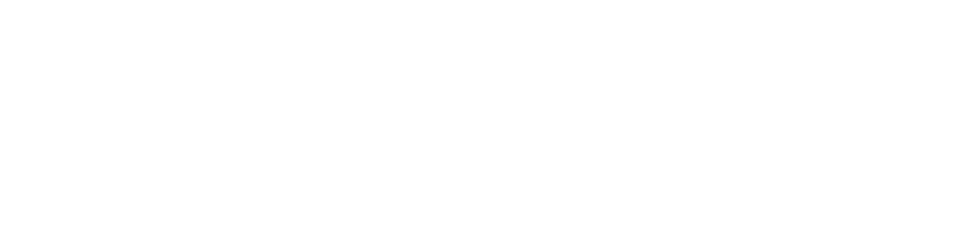 167名(2024年度)
