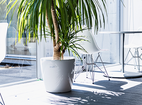 働き方・福利厚生