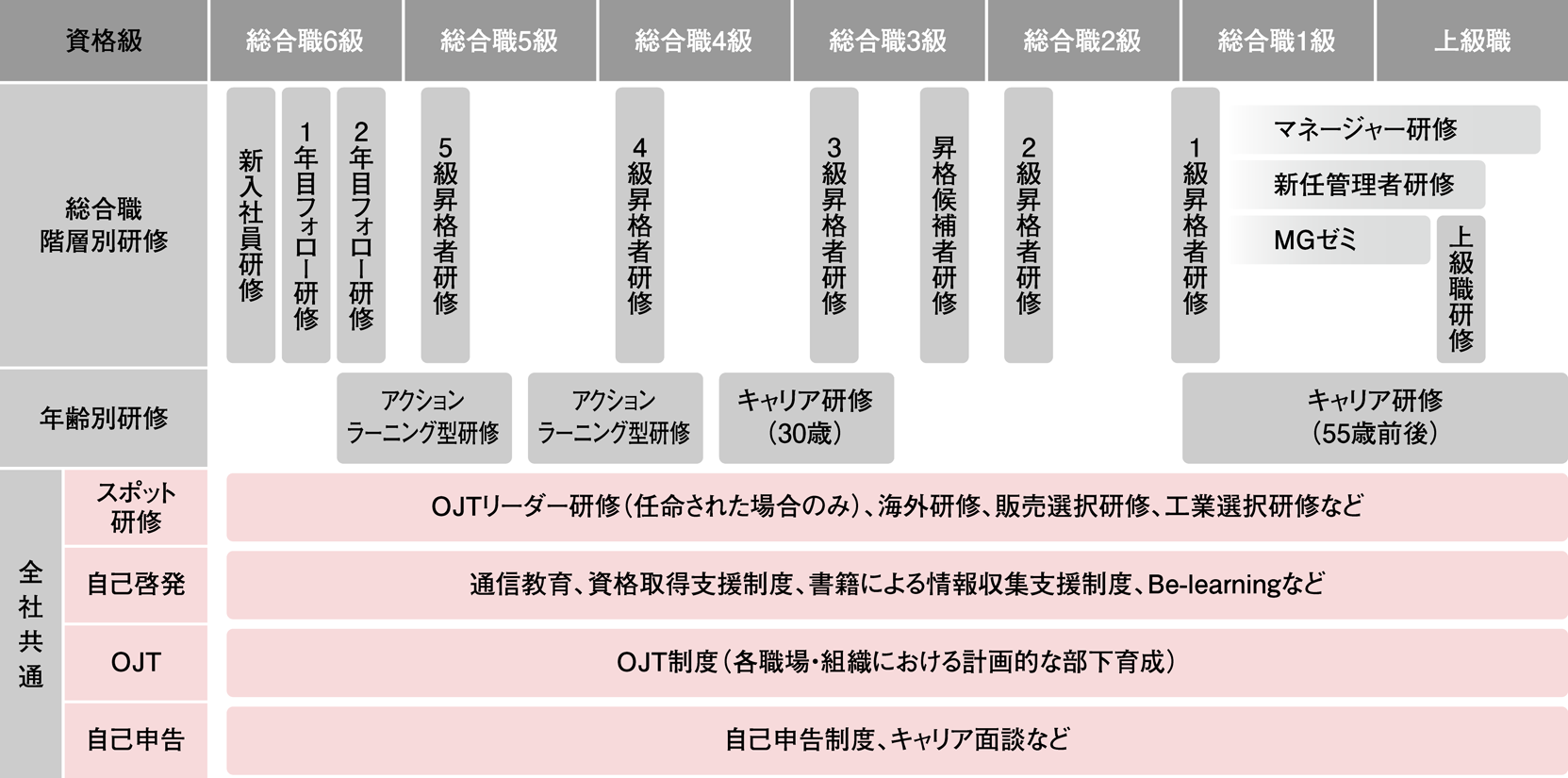 当社で実施している教育プログラム