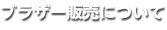 ブラザー販売株式会社インターンシップ