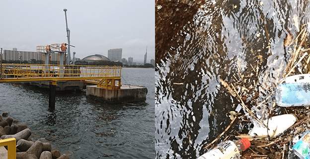 福岡の海でゴミ拾いをしている様子