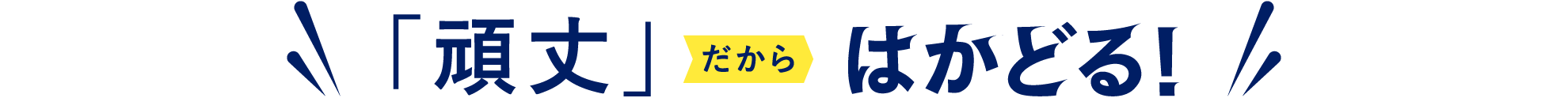 頑丈だからはかどる