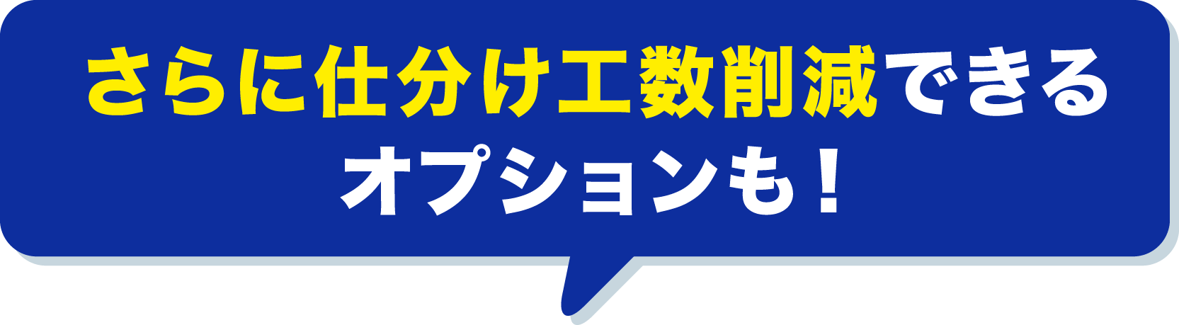 さらに仕分け工数削減できるオプションも！