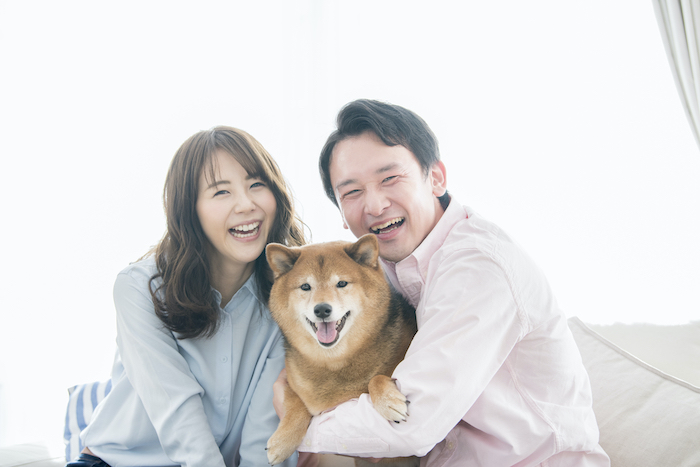 柴犬をかわいがる夫婦