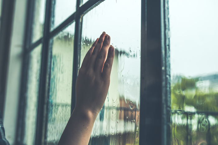 雨が降っている写真