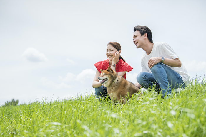 散歩中の犬の写真