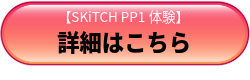 SKiTCH PP1体験詳細