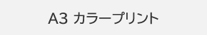 A3 カラープリント