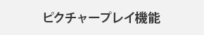 ピクチャープレイ機能