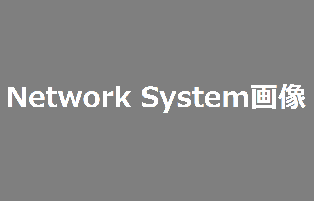 Network System
