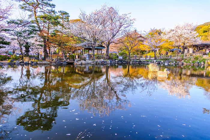 花の便り（はなのたより）