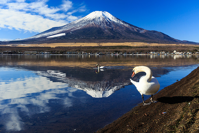 木や湖などの風景写真は、必ず水平に撮る