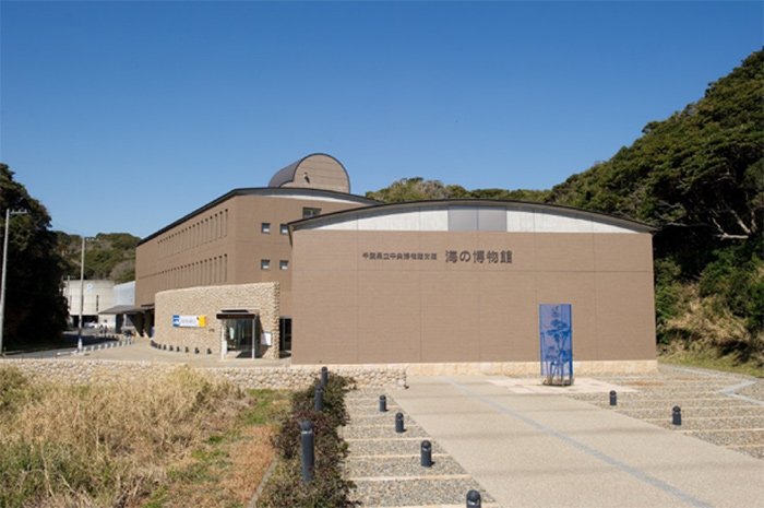 千葉県立中央博物館分館　海の博物館（千葉県勝浦市）1