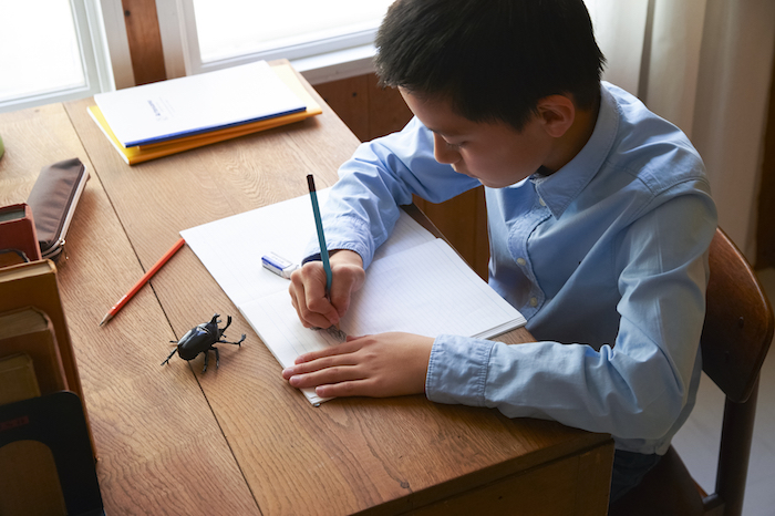 実験して終わりじゃない！知っておきたいまとめ方のポイント