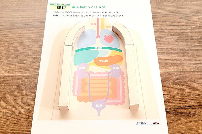 フレームをシートに貼りつけ2