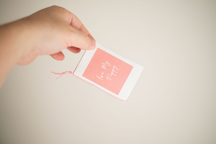 手のひらサイズが可愛い！小さなフォトブック形式の「ZINE」の作り方