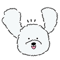 CANINI TOKYO（キャニーニ トーキョー）さん