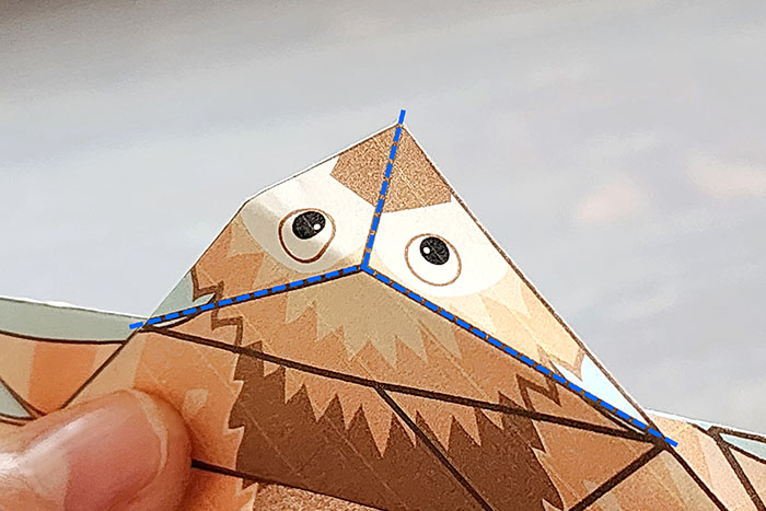 顔を整える