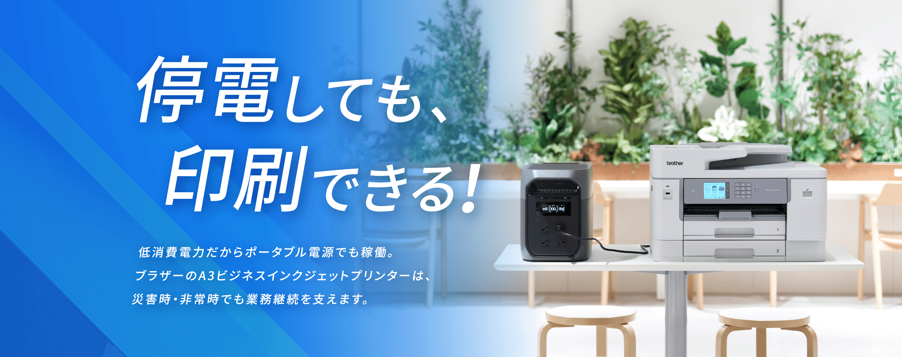 メインイメージ