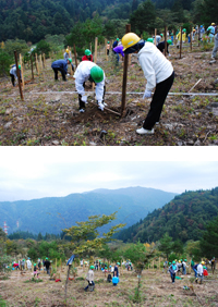 2009年10月 ブラザー社員による植樹風景