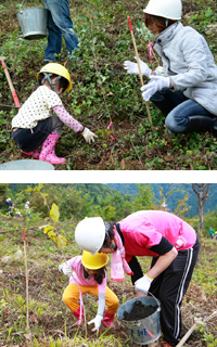 2013年10月 ブラザー社員による植樹風景