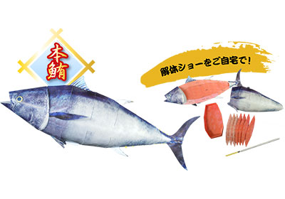 マグロの解体ショーもペーパークラフトで再現