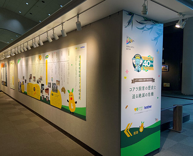 特別展示
