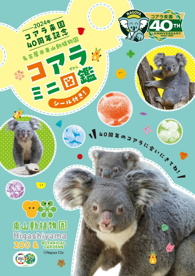 ウォークラリー景品のコアラミニ図鑑